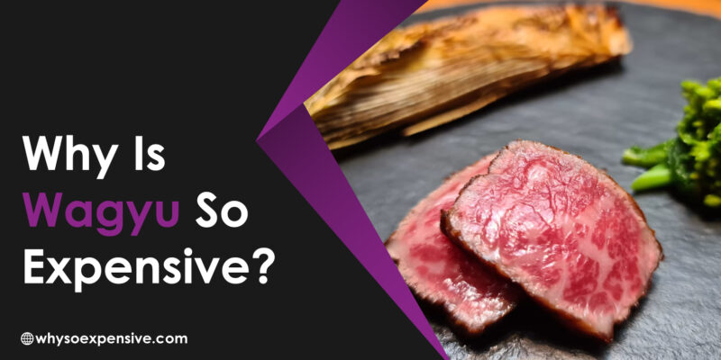 Why Is Wagyu So Expensive? Why Is Wagyu So Expensive