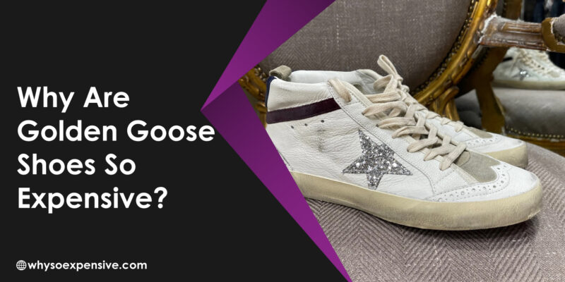 Why Are Golden Goose Shoes So Expensive: A Status Symbol Why-Are-Golden-Goose-Shoes-So-Expensive