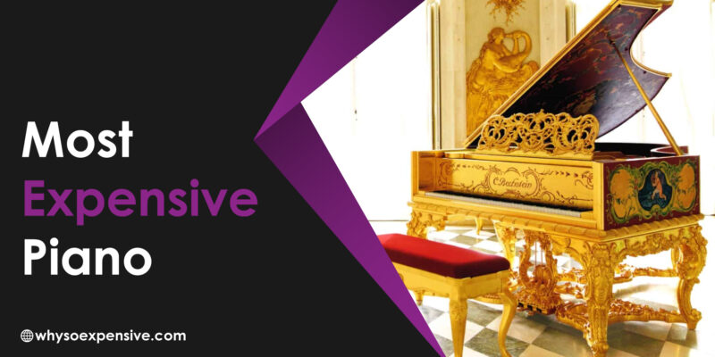 Most Expensive Piano: Opulence and Craftsmanship Revealed Most Expensive Piano