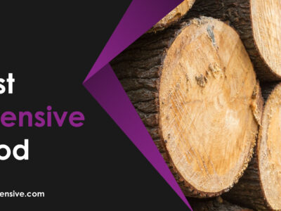 Most Expensive Wood