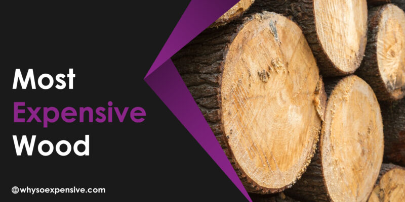 Most Expensive Wood: From Snakewood to Amboyna Burl Most Expensive Wood