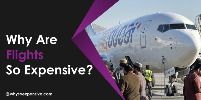 Why Are Flights So Expensive? Evaluating the Factors Behind the Price Hike Why Are Flights So Expensive