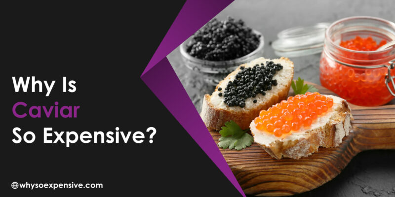 Why is Caviar so Expensive? Unveil Reasons Why is Caviar so Expensive