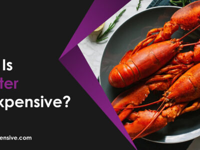 Why is Lobster So Expensive